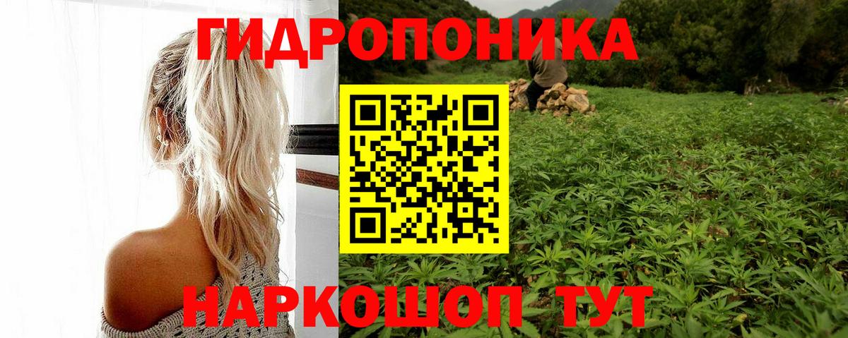 Конопля сатива  Вход с VPN  Южноуральск  Бошки марихуана гибрид 